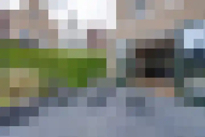 Stakelandje 1 De Rijp thumbnail 24