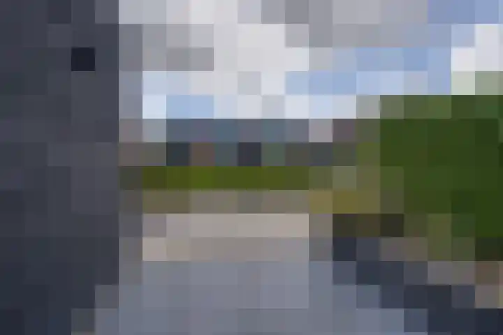 Stakelandje 1 De Rijp thumbnail 25
