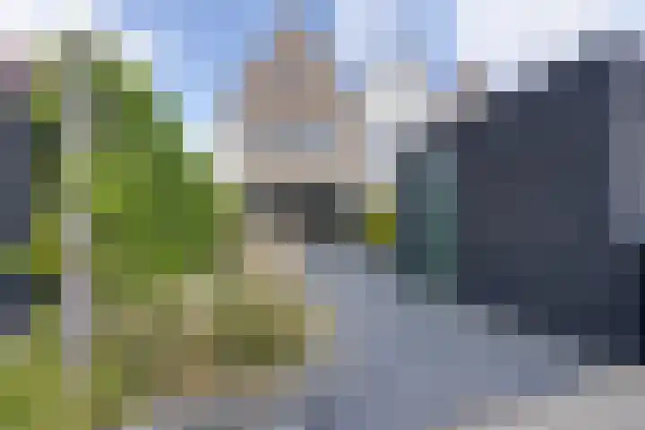 Stakelandje 1 De Rijp thumbnail 28
