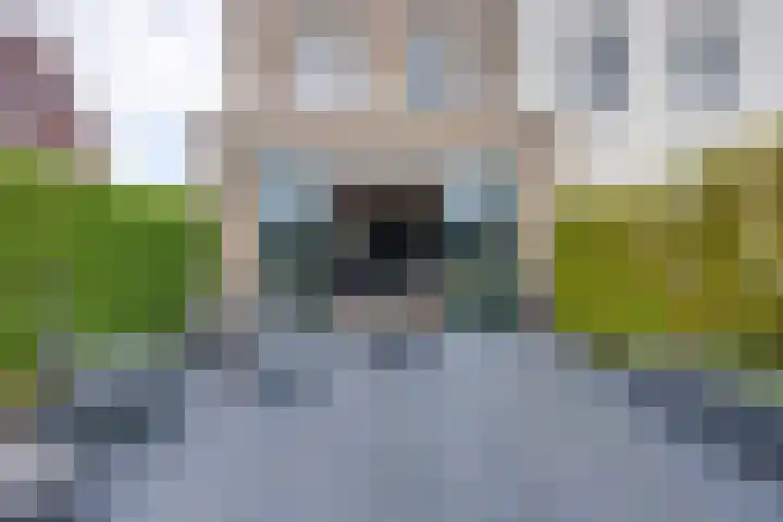 Stakelandje 1 De Rijp thumbnail 29
