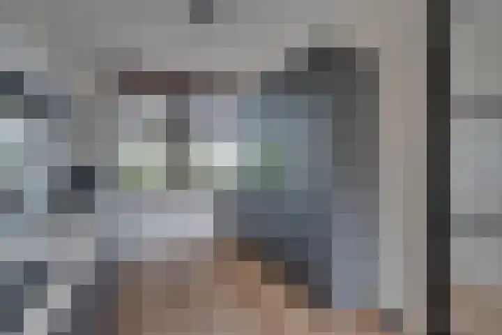 Stakelandje 1 De Rijp foto 3