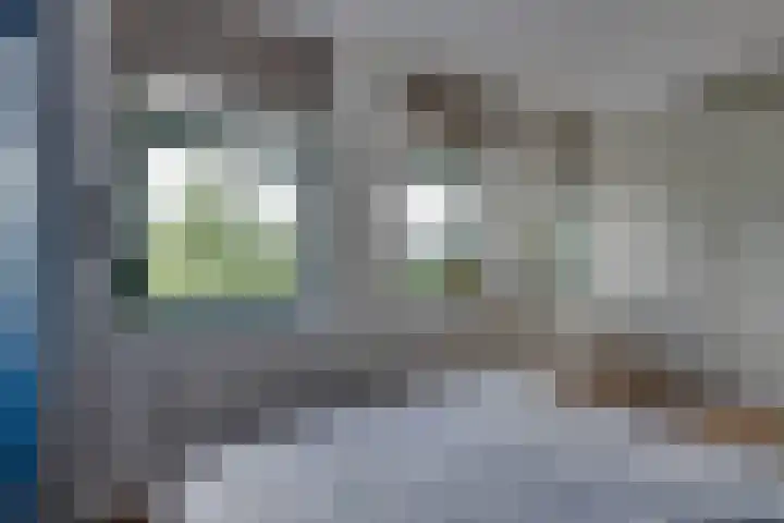 Stakelandje 1 De Rijp thumbnail 33
