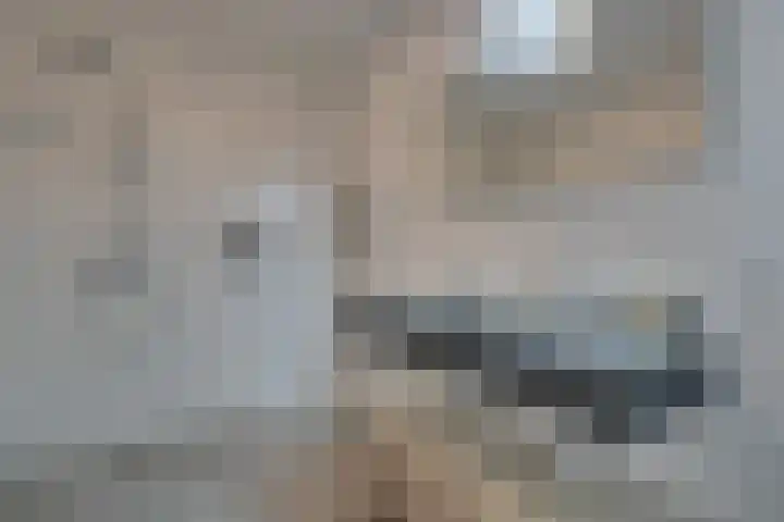Stakelandje 1 De Rijp thumbnail 36