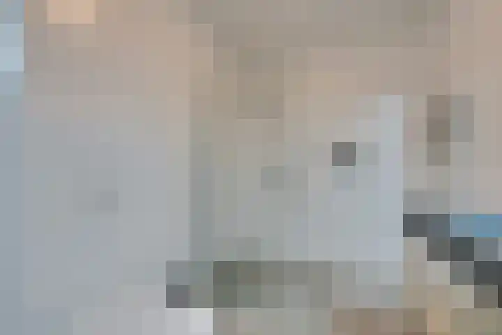 Stakelandje 1 De Rijp thumbnail 37