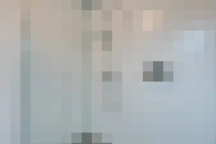 Stakelandje 1 De Rijp thumbnail 38
