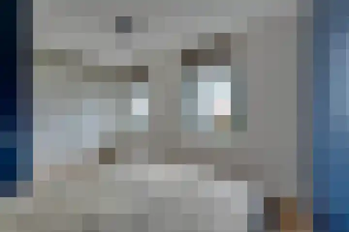 Stakelandje 1 De Rijp thumbnail 43