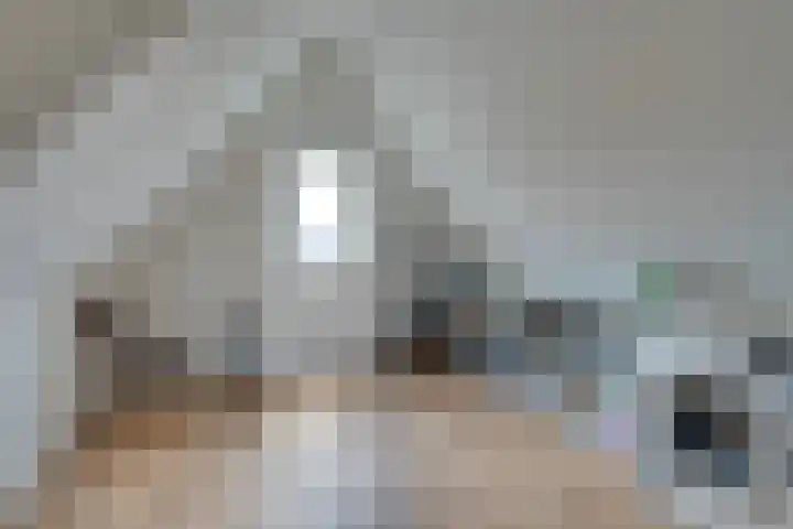 Stakelandje 1 De Rijp thumbnail 44