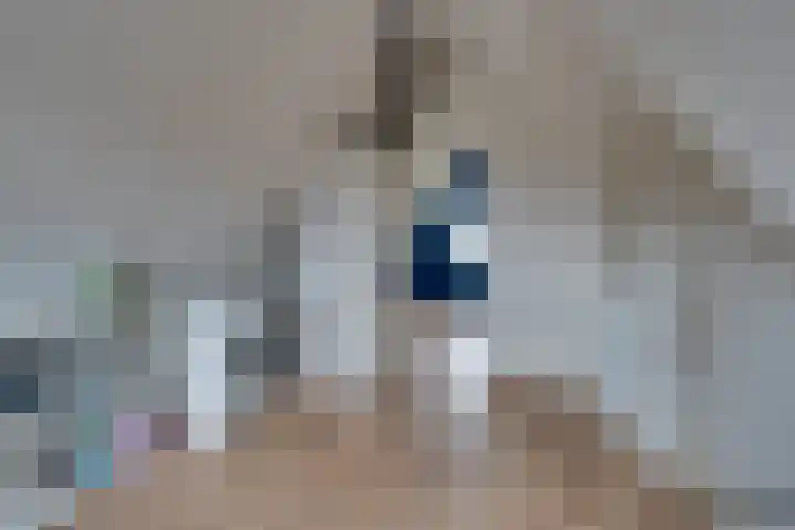 Stakelandje 1 De Rijp thumbnail 45