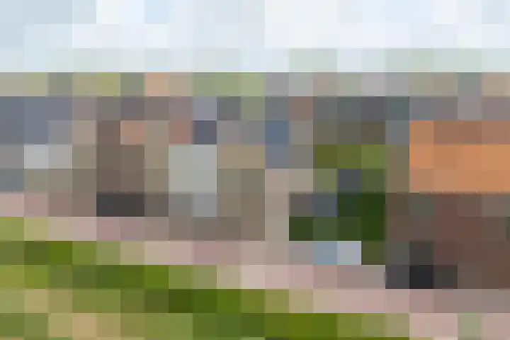 Stakelandje 1 De Rijp thumbnail 5