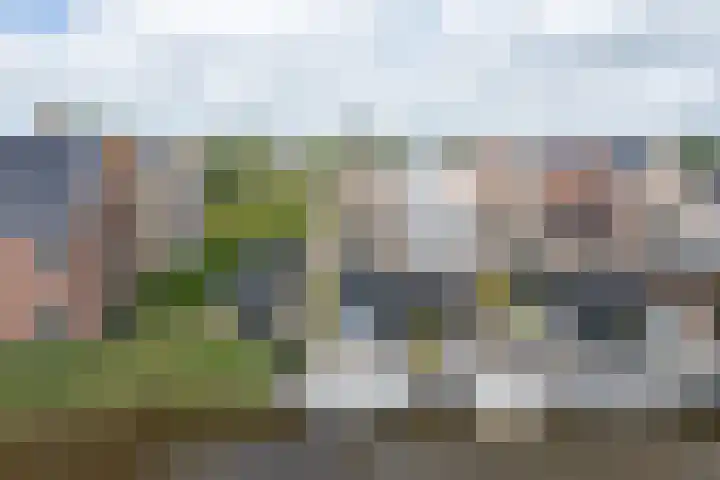 Stakelandje 1 De Rijp thumbnail 50
