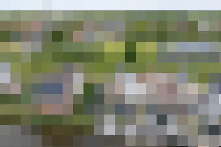 Stakelandje 1 De Rijp thumbnail 51