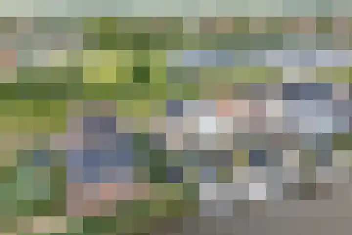 Stakelandje 1 De Rijp thumbnail 52