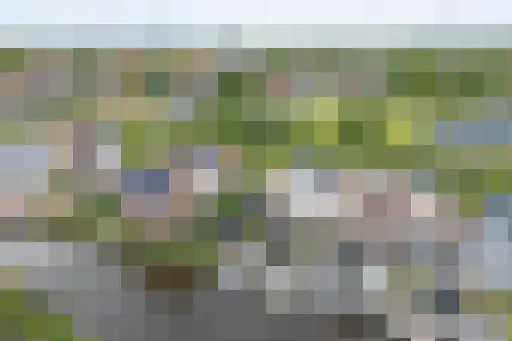 Stakelandje 1 De Rijp thumbnail 6