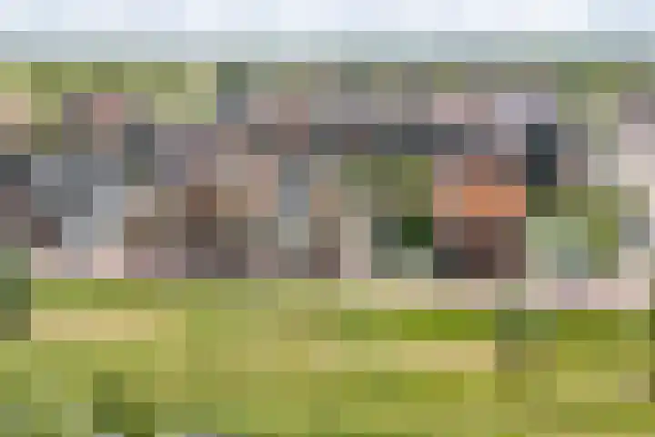 Stakelandje 1 De Rijp thumbnail 7