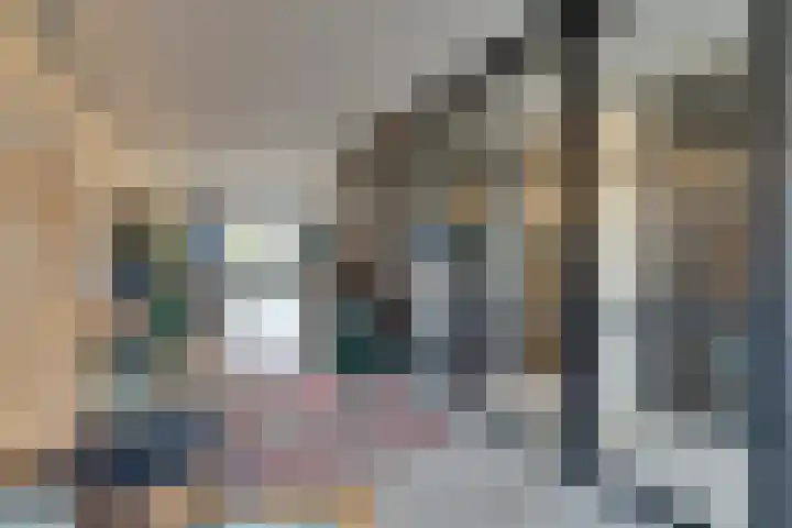 Stakelandje 5 De Rijp thumbnail 12