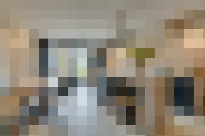 Stakelandje 5 De Rijp thumbnail 14