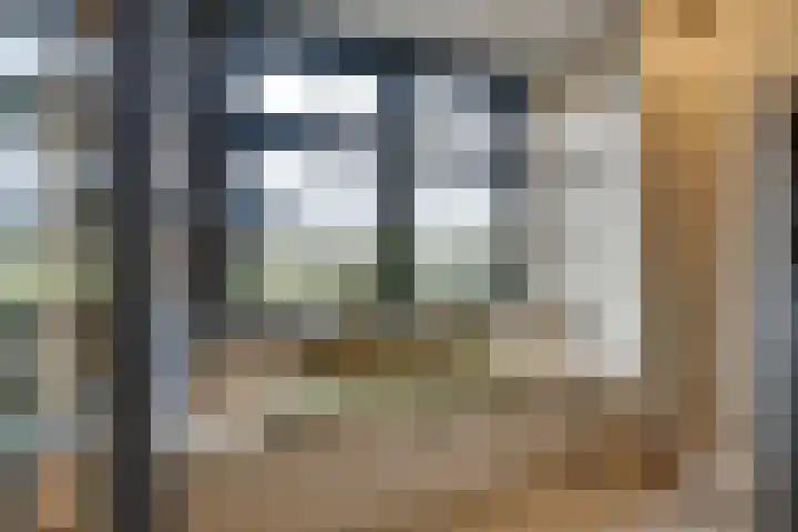 Stakelandje 5 De Rijp thumbnail 18