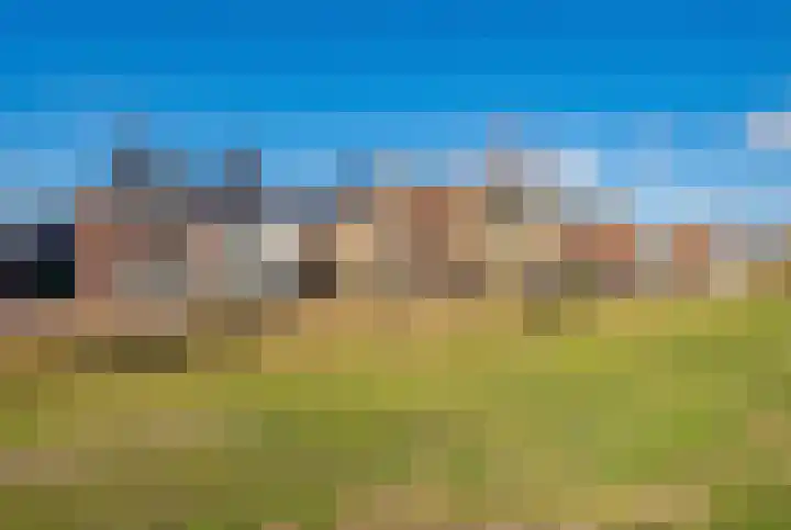 Stakelandje 5 De Rijp foto 2