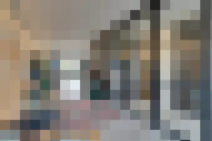 Stakelandje 5 De Rijp thumbnail 21