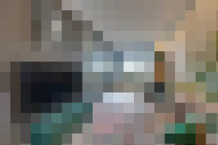 Stakelandje 5 De Rijp thumbnail 25