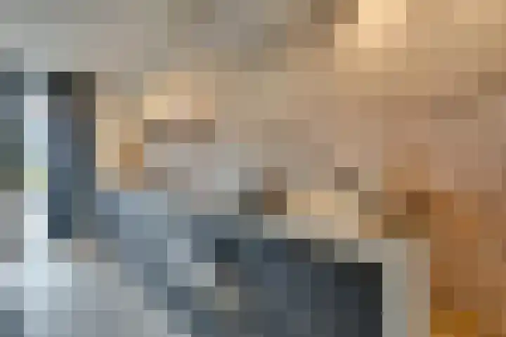 Stakelandje 5 De Rijp thumbnail 28