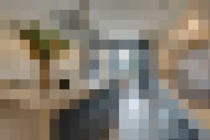 Stakelandje 5 De Rijp thumbnail 29