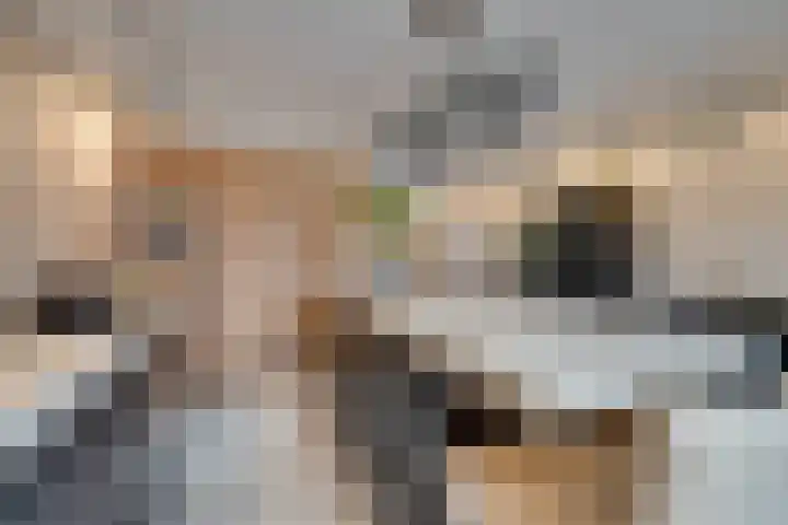 Stakelandje 5 De Rijp thumbnail 30