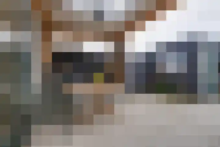 Stakelandje 5 De Rijp thumbnail 35