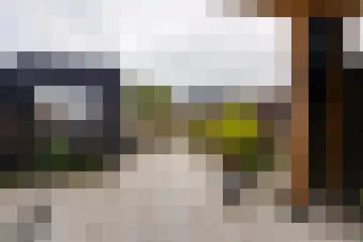 Stakelandje 5 De Rijp thumbnail 36