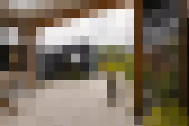 Stakelandje 5 De Rijp thumbnail 38