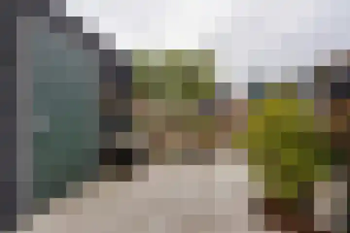Stakelandje 5 De Rijp thumbnail 40