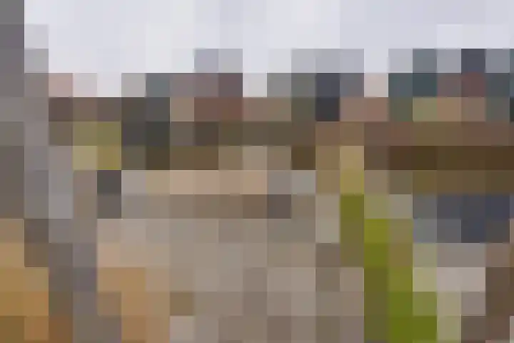 Stakelandje 5 De Rijp thumbnail 41