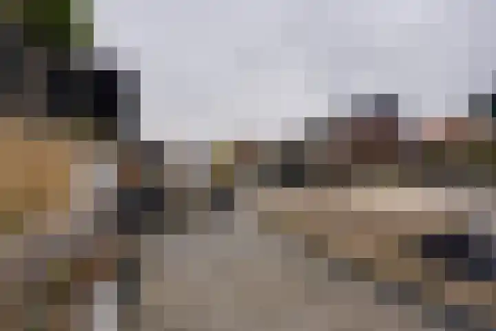 Stakelandje 5 De Rijp thumbnail 42