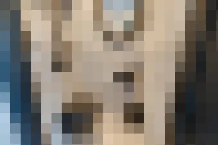 Stakelandje 5 De Rijp thumbnail 45