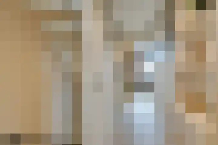 Stakelandje 5 De Rijp thumbnail 46
