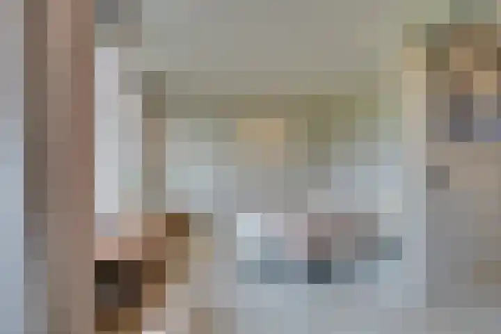 Stakelandje 5 De Rijp thumbnail 49