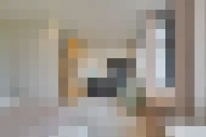 Stakelandje 5 De Rijp thumbnail 51
