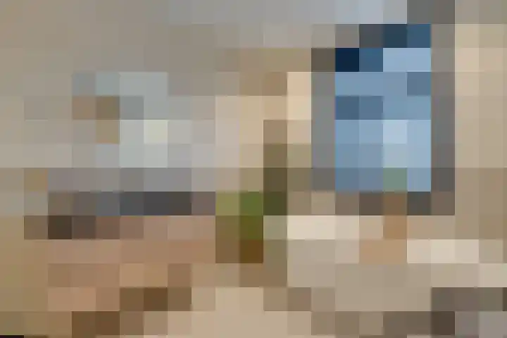 Stakelandje 5 De Rijp thumbnail 54