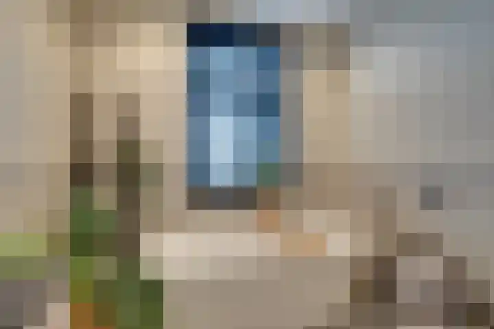 Stakelandje 5 De Rijp thumbnail 56