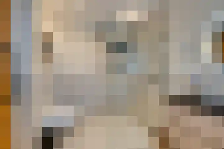 Stakelandje 5 De Rijp thumbnail 57