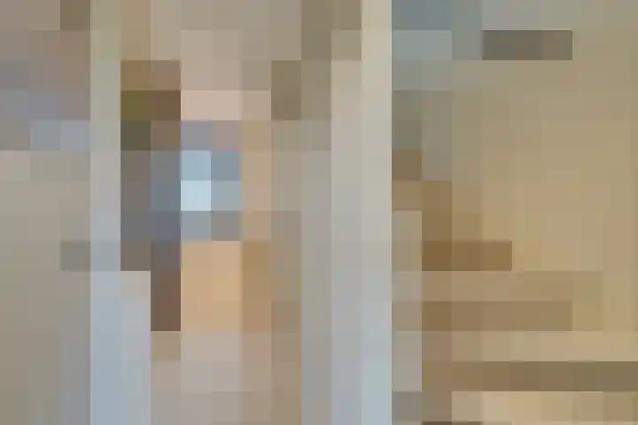 Stakelandje 5 De Rijp thumbnail 59
