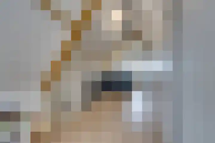 Stakelandje 5 De Rijp thumbnail 60