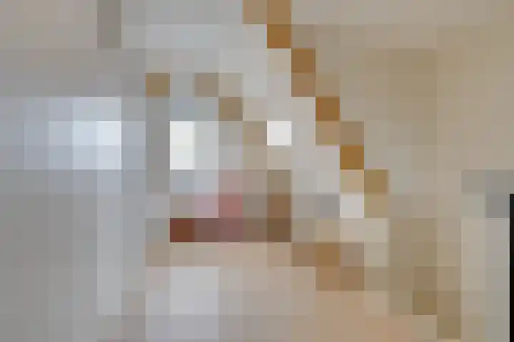 Stakelandje 5 De Rijp thumbnail 63