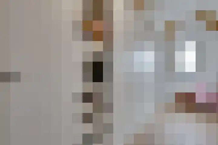 Stakelandje 5 De Rijp thumbnail 64