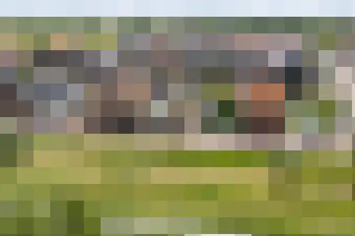 Stakelandje 5 De Rijp thumbnail 65