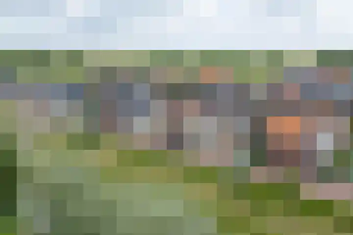 Stakelandje 5 De Rijp thumbnail 66
