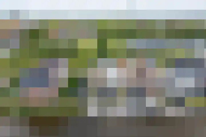 Stakelandje 5 De Rijp thumbnail 67