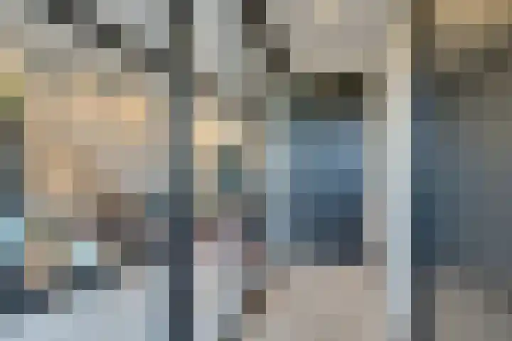 Stakelandje 5 De Rijp thumbnail 7
