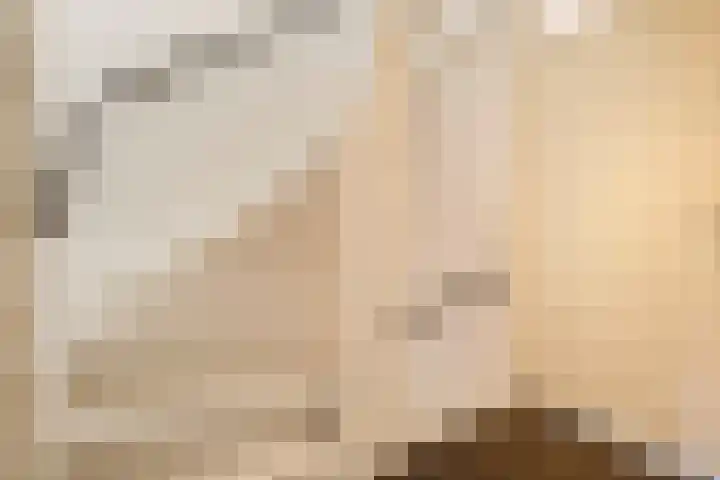 Stakenberg 28 Ede thumbnail 19
