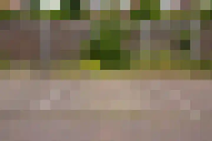 Stakenberg 28 Ede thumbnail 27
